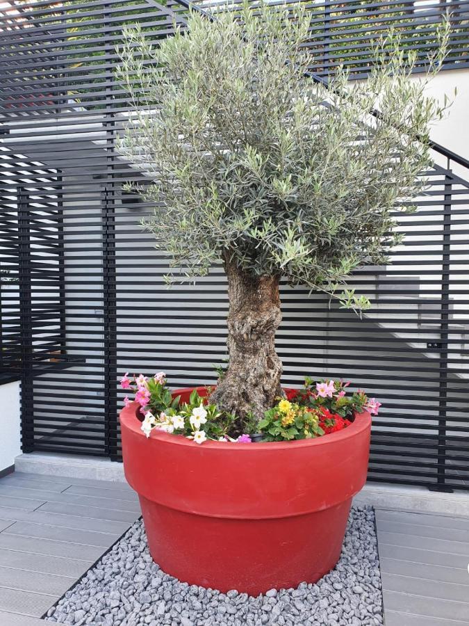 Visioni Lake View Boutique Rooms & Breakfast - Adults Friendly Riva del Garda Dış mekan fotoğraf